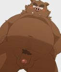  2018 96k-k akimbo anthro barazoku blush boar flaccid humanoid_penis kemono looking_at_viewer low-angle_view male mammal overweight overweight_male penis porcine simple_background solo standing white_background 