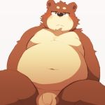  2016 96k-k anthro balls barazoku bear blush flaccid grizzly_bear humanoid_penis kemono low-angle_view male mammal obese overweight overweight_male penis simple_background sitting solo white_background 