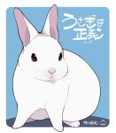  2016 lagomorph mammal rabbit simple_background solo text translation_request usagi_is_justice 井口病院 