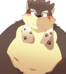  2017 96k-k barazoku blush canine dog kemono low-angle_view male mammal moritaka obese overweight scar simple_background solo tokyo_afterschool_summoners towel white_background 