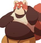  2016 96k-k barazoku blush boxer_briefs bulge clothing hand_behind_head kemono male mammal obese overweight red_panda shirt simple_background solo standing tank_top underwear white_background 