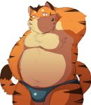  2016 96k-k barazoku bulge clothing feline hand_behind_head kemono male mammal obese overweight pose solo standing swimsuit tiger 