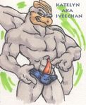  iveechan machamp nintendo pokemon tagme 