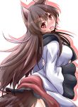  ahoge animal_ears blush breasts brown_hair dress fang highres imaizumi_kagerou large_breasts long_hair long_sleeves looking_at_viewer looking_to_the_side nose_blush open_mouth oshiaki red_eyes simple_background solo sweat tail touhou white_background wide_sleeves wolf_ears wolf_tail 