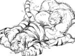  2014 barazoku bear black_and_white cum cum_on_ground duo feline fisting from_behind_(disambiguation) japanese_text kemono kotobuki male male/male mammal monochrome muscular obese overweight simple_background sketch text tiger white_background 