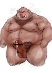  2011 barazoku boar censor_bar erection facing_viewer flaccid humanoid_penis kemono kneeling kotobuki male mammal muscular nude obese overweight penis porcine portrait precum simple_background solo steam sweat three-quarter_portrait white_background 