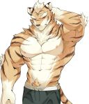  2018 abs anthro biceps chung0_0 clothed clothing digital_media_(artwork) feline fur hi_res male mammal muscular muscular_male nipples pecs simple_background stripes tiger topless white_background 