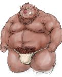  2011 barazoku boar bulge clothed clothing facing_viewer fundoshi japanese_clothing kemono kotobuki male mammal muscular obese overweight partially_clothed porcine simple_background solo standing three-quarter_profile underwear white_background 