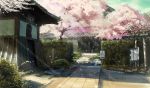  building cherry_blossoms nasu nobody original petals scenic tree 