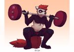  2018 autumn_sins blue_eyes brown_fur brown_nose claws clothed clothing conditional_dnp crouching ember_(disambiguation) exercise ferret fingerless_gloves fur gloves hair hi_res invalid_tag looking_down male mammal muscular mustelid red_hair red_tail shorts simple_background sports_wear teeth topless weightlifting weights white_fur workout 