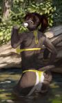  bikini clothing cougar feline female forest mammal notdonebaking rock swimming_hole swimsuit tree water 