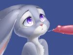  ancesra animal_genitalia anthro canine cum disney duo fellatio female fur grey_fur judy_hopps lagomorph male male/female mammal oral penis purple_eyes rabbit sex simple_background white_fur zootopia 