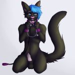  2018 5_fingers anthro bdsm blue_hair blvejay breasts cat chain claws collar cuffs_(disambiguation) detailed dickgirl digital_media_(artwork) erection feline hair happy hi_res intersex leash looking_at_viewer mammal nipples penis petplay roleplay shaded short_hair smile solo teeth 