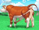  anal anus apollo_(caldariequine) bald balls bdsm bestiality big_balls big_penis bondage bound bovine cattle cloud cum dripping drooling duo ear_tag english_text erection fence feral grass huge_penis human male male/male mammal meadow nude oral penis revadiehard rimming saliva sex text 