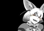  animal_ears bow bowtie brown_eyes commentary evil_smile extra_ears fennec_(kemono_friends) fox_ears greyscale half-closed_eyes halftone kaya_(nari1-24) kemono_friends looking_at_viewer monochrome open_mouth portrait shirt short_hair smile solo spot_color 