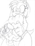  amy_rose jodagee marine_the_raccoon sonic_team tagme 