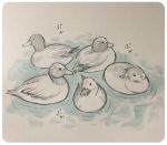  2016 avian bird duck japanese_text lagomorph mammal rabbit text water 井口病院 