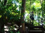  backpack bag black_eyes black_hair black_skirt day forest grey_legwear hair_over_one_eye kyoto looking_at_viewer nature original outdoors real_world_location sakeharasu scenery short_hair skirt solo stairs thighhighs 