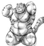  2015 barazoku bulge clothing facing_viewer feline flexing front_view greyscale hand_behind_head kemono kneeling kotobuki male mammal monochrome muscular obese overweight simple_background solo speedo swimsuit tiger white_background 