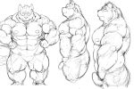  2015 barazoku bear black_and_white canine clothing collage erection facing_viewer front_view kemono kotobuki male mammal monochrome muscular obese overweight side_view simple_background sketch standing underwear white_background wolf 