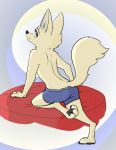  2018 anothercolouranon anthro arctic_fox boxer_briefs canine clothed clothing colored female fox fuel_(artist) looking_at_viewer looking_back mammal pawpads rear_view simple_background skye_(zootopia) solo topless underwear 