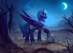  2018 animated armor blue_feathers blue_hair detailed_background digital_media_(artwork) equine feathers hair hooves mammal night no_sound outside pegasus rodrigues404 sky star starry_sky wings 