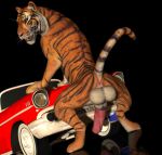  3d_(artwork) anus balls big_balls big_penis black_background car digital_media_(artwork) erection fangs feline feral looking_at_viewer looking_back male mammal open_mouth penis rear_view simple_background solo tapiko tiger vehicle vein veiny_penis whiskers 