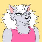  anthro bad_hair_day canine clothing doopcity female hair mammal pink_shirt pretty_cure reaction_image shirt simple_background solo tank_top white_hair wolf wolfrun yellow_background 
