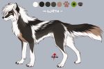  2018 black_fur canine digital_media_(artwork) feral fur green_eyes inkrend mammal model_sheet paws simple_background solo standing white_fur wolf 