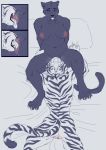  2018 anthro black_fur black_nose breasts clitoris digital_media_(artwork) feline female female/female fur inkrend jaguar mammal nipples pussy pussy_juice striped_fur stripes tiger whiskers 