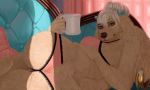  bra canine clothing cup dog ear_piercing female lingerie lounge mammal notdonebaking panties piercing sofa underwear 