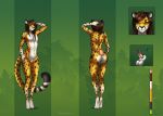  2017 anthro balls brown_hair cheetah color_swatch eliana-asato feline fur girly green_eyes hair invalid_tag long_hair male male_nipples mammal model_sheet nipples orange_fur penis pink_nipples simple_background small_balls small_penis solo standing uncut 