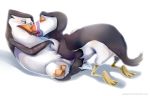  ambiguous/ambiguous ambiguous_gender anthro avian bird dreamworks feral hans kissing leokatana madagascar nickelodeon penguin puffin sex skipper the_penguins_of_madagascar 