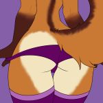  2018 butt canine clothing female fox katastrophi legwear mammal panties stockings tay_(mantist) underwear 