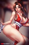  1girl breasts brown_hair fatal_fury huge_breasts lord_dominik ponytail shiranui_mai solo 