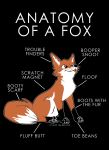  absurd_res black_background canine cross-eyed english_text feral fox fur hi_res humor mammal meme simple_background sitting solo text whiskers zillion_ross 