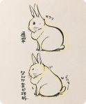  2016 japanese_text lagomorph mammal rabbit simple_background text translation_request 井口病院 