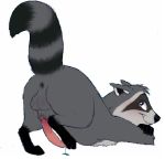  2017 anatomically_correct anatomically_correct_penis anus ass_up balls blush feral looking_at_viewer looking_back male mammal meeko_(disney) penis precum presenting procyonid raccoon raised_tail solo unknown_artist 