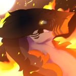  angry fire livideclipse murkey sergal 