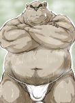  2015 band-aid bandage barazoku bear blush bulge clothing facing_viewer front_view fundoshi japanese_clothing kemono kneeling kotobuki male mammal muscular obese overweight simple_background solo steam sweat underwear 