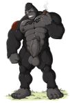  2018 abs anthro ape balls big_balls big_penis blue_eyes cigar erection gojho gorilla male mammal muscular nipple_piercing nipples nude penis piercing primate solo tattoo 