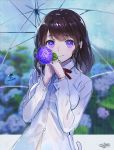 bangs blurry blurry_background blush bra_through_clothes breasts brown_hair closed_mouth collared_shirt depth_of_field eyebrows_visible_through_hair flower gloves hands_up holding holding_flower holding_umbrella hydrangea long_hair long_sleeves looking_at_viewer medium_breasts original purple_eyes purple_gloves rain revision sanbasou school_uniform see-through shirt signature smile solo transparent transparent_umbrella umbrella wet wet_clothes wet_shirt white_shirt 
