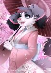  2018 5_fingers anthro canine clothed clothing day digital_media_(artwork) dog female green_eyes grey_hair hair japanese_clothing kimono mammal nitricacid open_mouth outside parasol pink_nose smile solo teeth tongue tree 