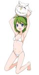  bird blue_eyes bra breasts feh_(fire_emblem_heroes) fire_emblem fire_emblem:_rekka_no_ken fire_emblem_heroes green_hair hairband happy holding nino_(fire_emblem) owl panties small_breasts tamagoroo_(funifuni_labo) underwear 