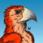  2018 ambiguous_gender avian beak bird blue_eyes feathered_wings feathers hi_res magister outside red_feathers sad simple_background sky solo wings 