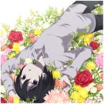  :o absurdres androgynous arms_up black_eyes black_hair black_pants border collared_shirt commentary_request dress_shirt eyebrows_visible_through_hair flower grey_shirt hair_between_eyes highres kino kino_no_tabi long_sleeves looking_at_viewer lying open_mouth pants partial_commentary red_flower red_rose rose sakurano_itsuki shirt short_hair solo tomboy upside-down white_border 