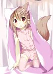  :o absurdres animal_ears bed bed_sheet brown_hair chaakusu ear_piercing fennery_(show_by_rock!!) fox_ears fox_tail highres indoors multicolored_hair nurse piercing red_eyes short_hair show_by_rock!! streaked_hair tail thighhighs two-tone_hair under_covers zettai_ryouiki 
