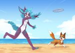  beach blue_hair canine frisbee hair mammal pooka ququ sand sea seaside sparkydb theququ water wolf 