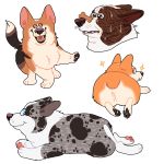 2018 3_toes aliasing ambiguous_gender balancing black_eyes black_fur black_pawpads black_spots black_tail brown_fur brown_nose brown_stripes butt butt_focus canine corgi countershade_face countershade_torso countershading cute digital_drawing_(artwork) digital_media_(artwork) dipstick_tail dog dog_treat ears_back eyes_closed fangs feral food front_view full-length_portrait fur gogarty grey_fur grey_tail group happy headshot_portrait hi_res hindpaw looking_at_viewer looking_back mammal markings multicolored_fur multicolored_tail nervous open_mouth open_smile orange_fur orange_tail pawpads paws pink_tongue portrait quadruped raised_leg rear_view short_tail side_view simple_background smile snout socks_(marking) sparkling spots spotted_fur spotted_tail striped_fur stripes sweat tan_fur toes tongue toony two_tone_fur two_tone_tail whiskers white_background white_eyes white_fur white_tail 