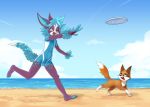  beach blue_hair bulge canine frisbee hair mammal pooka ququ sand sea seaside sparkydb theququ water wolf 